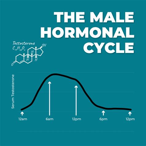 do gay men have different hormones
